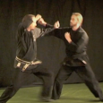 This video is now available for sale at Payloadz.com. It contains the three Kosshi Kihon Sanpo techniques from Kihon Happo, plus henka and two Ura waza for each technique. KIHON...
