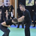 STEVE OLSEN from SWEDEN TAI KAI 2011 20 minutes, 243 Mb for $6.99 Only available as download Sveneric Bogsäter from Holland together with Rob Renner, Duncan Stewart and Steve Olsen from Japan was invited to teach at...