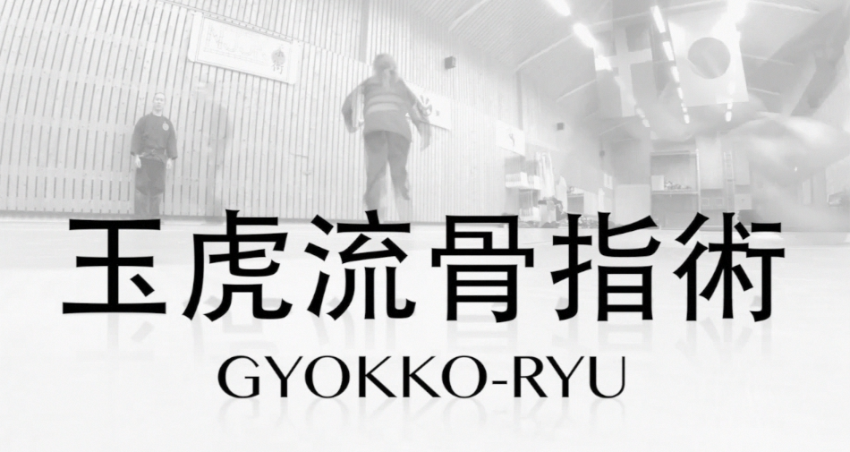 GYOKKO-RYU KOSSHIJUTSU CHU RYAKU NO MAKI with MATS HJELM