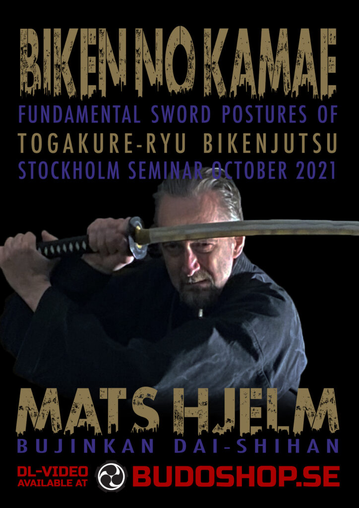 SWORD FIGHTING fundamental postures with MATS HJELM