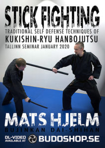 Stick Fighting video cover