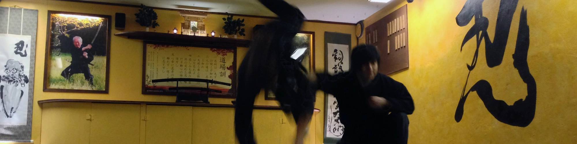 Bujinkan Keiko